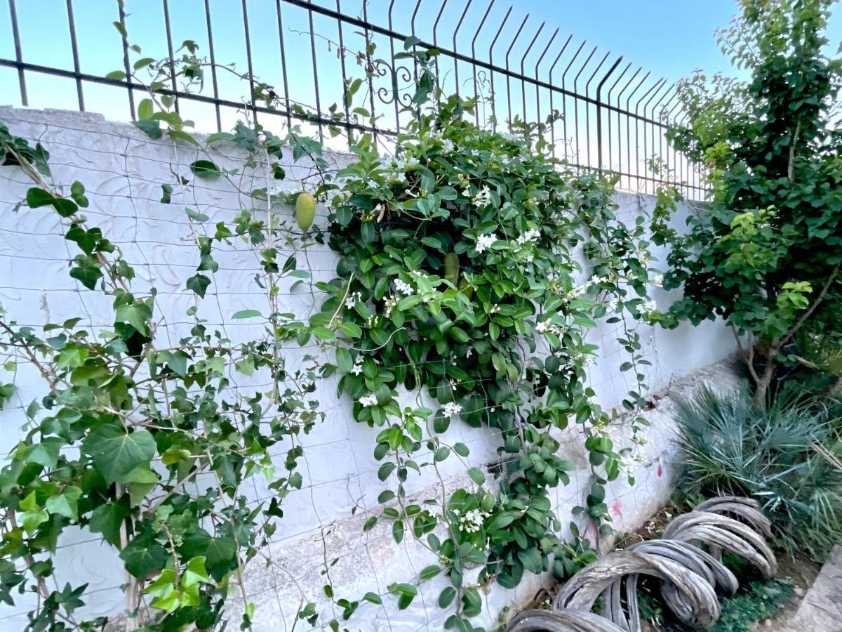 Villa Sa Torre İbiza Kenti Dış mekan fotoğraf